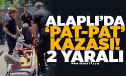 Alaplı'da 'pat-pat' kazası: 2 yaralı