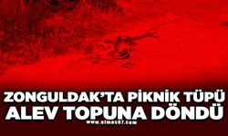Alev topuna dönen piknik tüpü korkuttu