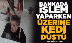 Bankada işlem yaparken üzerine kedi düştü