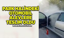 Park halindeki otomobil alevlere teslim oldu: Vatandaşlar yangın tüpleriyle seferber oldu