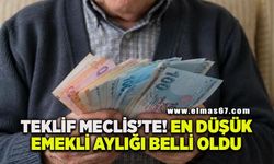 Teklif Meclis'te! En düşük emekli aylığı belli oldu