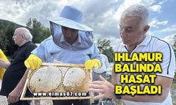 AB tescilli Yenice ıhlamur balında hasat başladı