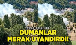 Kozlu sahilinden yükselen dumanlar merak uyandırdı!