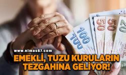 Emekli, tuzu kuruların tezgâhına geliyor!