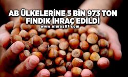 AB ülkelerine 5 bin 973 ton fındık ihraç edildi