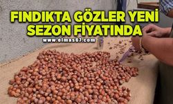 Fındıkta gözler yeni sezon fiyatında