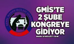 GMİS Armutçuk ve Söğüt Şubelerinin Genel Kurulları Yapılacak
