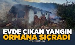 Evde çıkan yangın ormana sıçradı