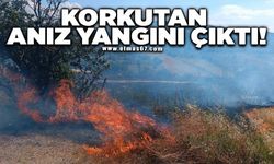 Korkutan anız yangını havadan ve karadan müdahaleyle kontrol altına alındı