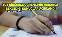 LGS sonuçları açıklandı