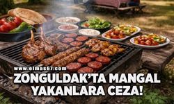 Zonguldak’ta mangal yakana ceza!