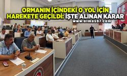 Ormanın içindeki o yol için harekete geçildi! İşte alınan karar...