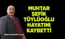 Eski muhtar Şefik Tüylüoğlu hayatını kaybetti