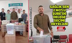 Sağlık-Sen 2 No'lu Şube'de Delege Seçimi Heyecanı