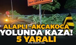 Alaplı Akçakoca yolunda kaza;5 yaralı