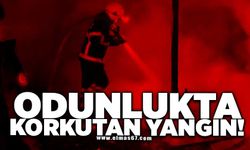 Odunlukta korkutan yangın