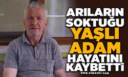 Arıların soktuğu yaşlı adam hayatını kaybetti