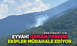 Ormanlık alanda çıkan yangına havadan ve karadan müdahale