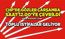 CHP’de toplu istifa