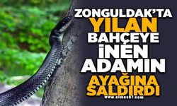 Yılan, bahçeye inen adamın ayağına saldırdı