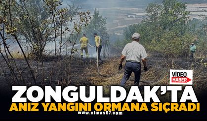 Anız yangını kontrolden çıkıp ormana sıçradı