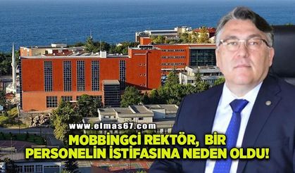 Mobbingci Rektör, baskıya dayanamayan bir personelin istifasına neden oldu
