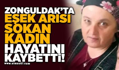 Eşek arısı sokan kadın hayatını kaybetti
