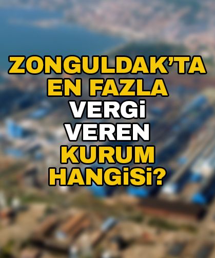 Zonguldak'ta en fazla vergi veren kurum hangisi?