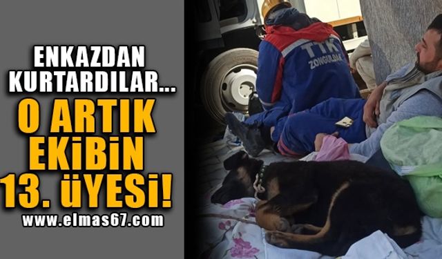 Enkazdan kurtardılar, o artık ekibin 13’üncü üyesi!