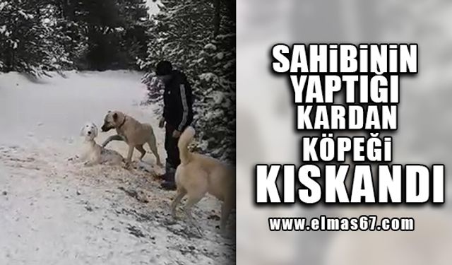 Sahibinin yaptığı kardan köpeği kıskandı