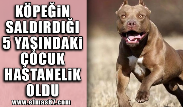 5 yaşındaki çocuk hastanelik oldu