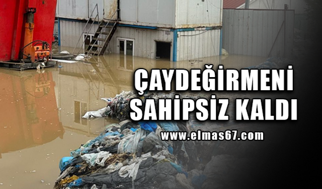 ÇAYDEĞİRMENİ SAHİPSİZ KALDI