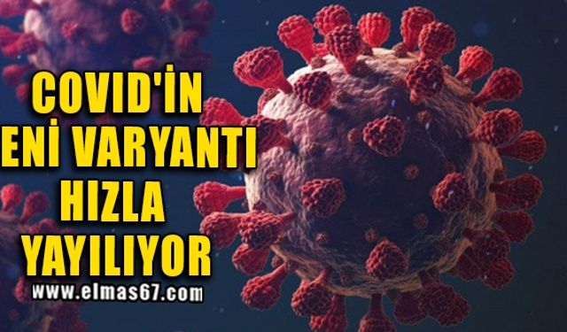 COVID'İN YENİ VARYANTI HIZLA YAYILIYOR