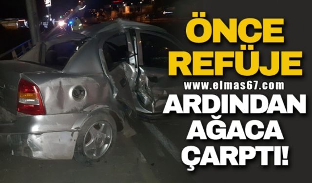 Önce refüje ardından ağaca çarptı!