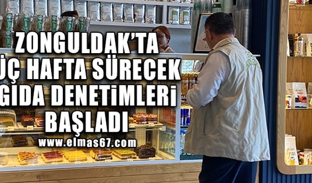 Zonguldak'ta üç hafta sürecek gıda denetimleri başladı