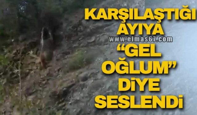 Karşılaştığı ayıya "gel oğlum" diye seslendi