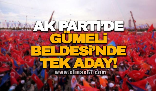 Ak Parti’den Gümeli Beldesi’nde tek aday!