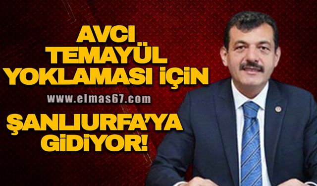 AVCI TEMAYÜL YOKLAMASI İÇİN ŞANLIURFA’YA GİDİYOR!