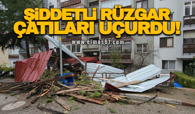 Şiddetli rüzgar ve fırtına, apartman çatılarını uçurup direkleri devirdi