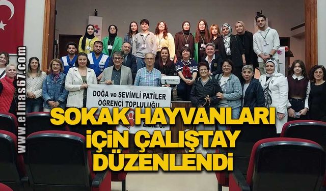 Sokak hayvanları için çalıştay düzenlendi
