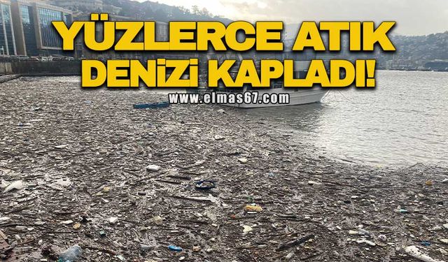 Yüzlerce atık denizi kapladı