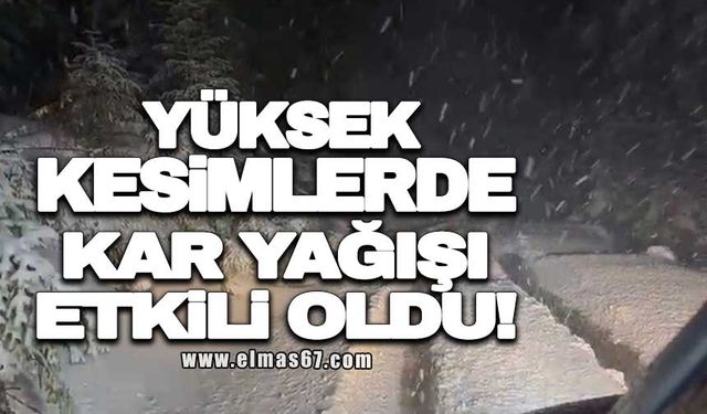 Yüksek kesimlerde kar yağışı etkili oldu!