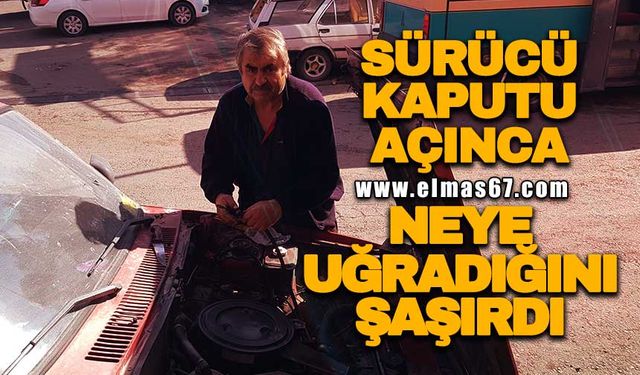 Sürücü kaputu açınca neye uğradığını şaşırdı