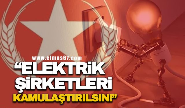 "ELEKTRİK ŞİRKETLERİ KAMULAŞTIRILSIN"