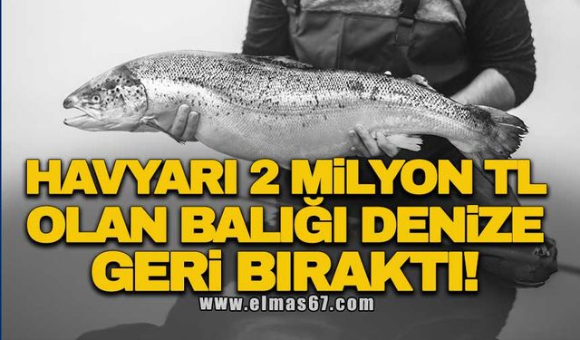 HAVYARI 2 MİLYON TL OLAN BALIĞI DENİZE GERİ BIRAKTI!