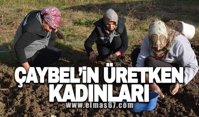 ÇAYBEL’in üretken kadınları! 