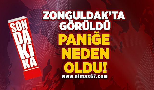 Zonguldak’ta görüldü, paniğe neden oldu!