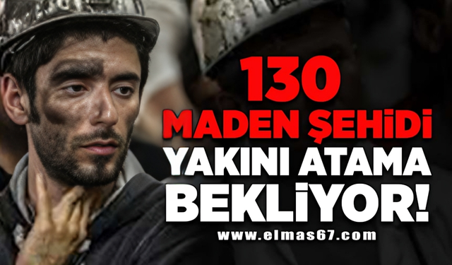 130 maden şehidi yakını atama bekliyor