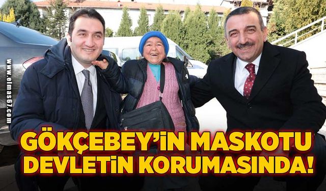 Gökçebey’in maskotu devletin korumasında!