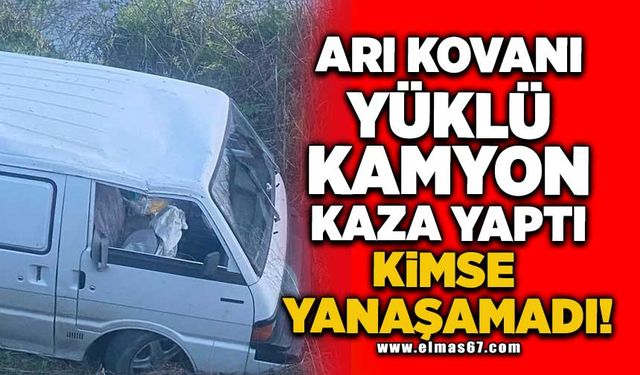 Arı yüklü kamyon kaza yaptı kimse yanaşamadı